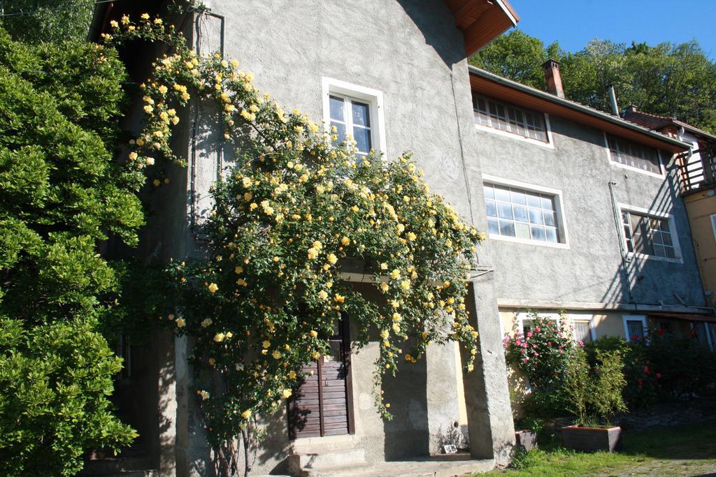 オルタ・サン・ジューリオ Fattoria Del Pino Bed & Breakfast エクステリア 写真