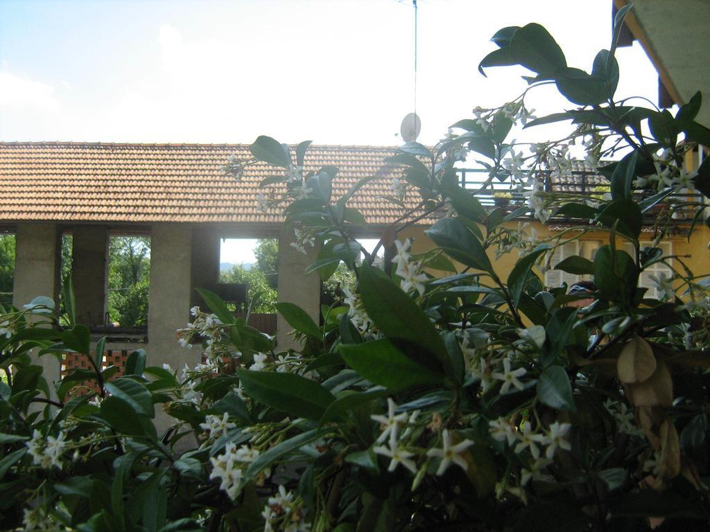 オルタ・サン・ジューリオ Fattoria Del Pino Bed & Breakfast エクステリア 写真