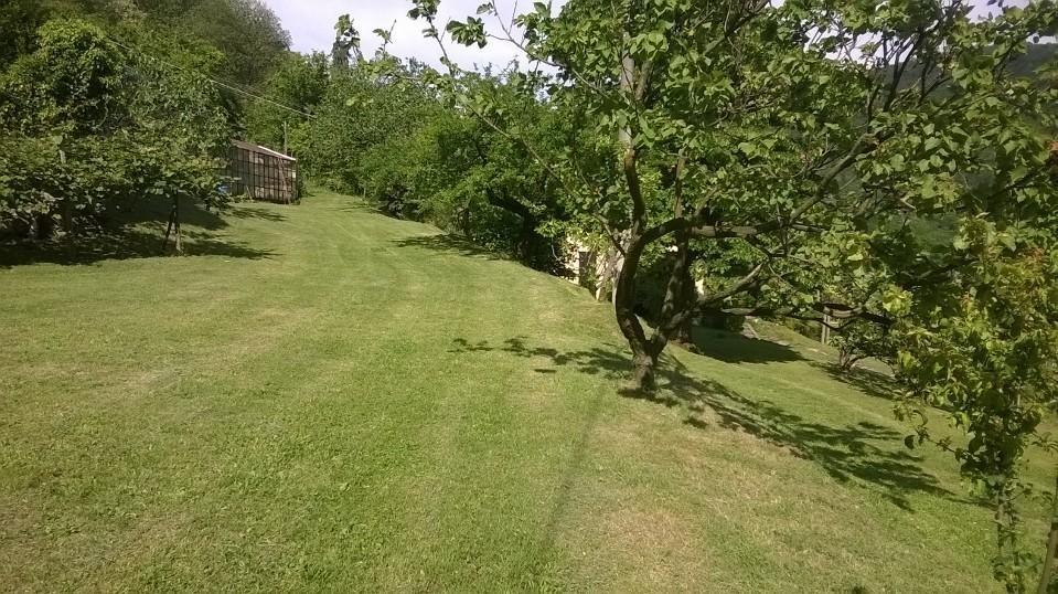 オルタ・サン・ジューリオ Fattoria Del Pino Bed & Breakfast エクステリア 写真