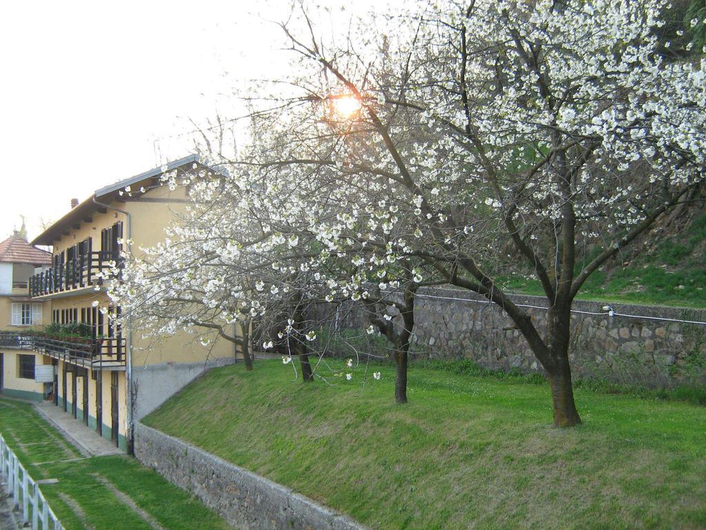 オルタ・サン・ジューリオ Fattoria Del Pino Bed & Breakfast エクステリア 写真