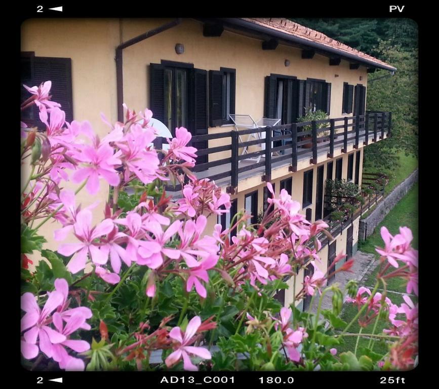 オルタ・サン・ジューリオ Fattoria Del Pino Bed & Breakfast エクステリア 写真